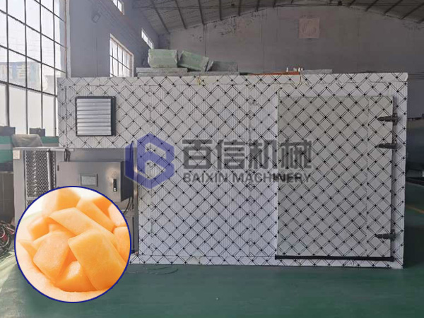 哈密瓜烘干機(jī)